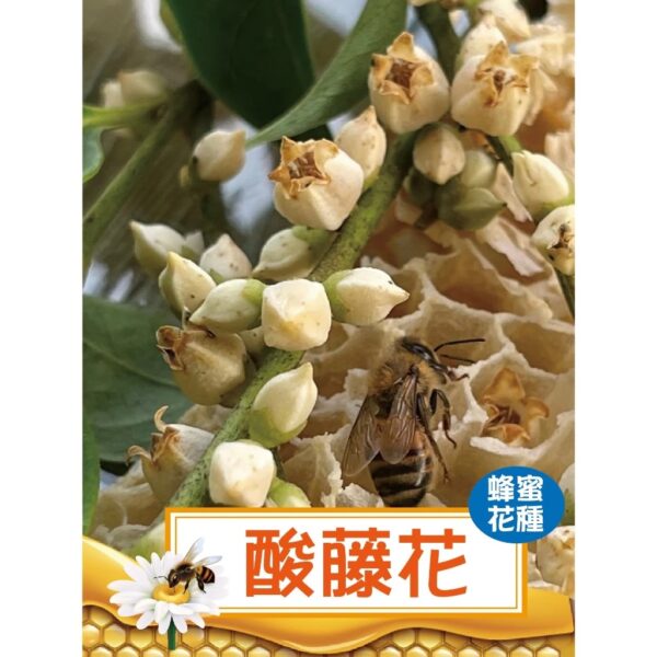 小池塘-森林蜜小禮盒【鴨腳木+紅淡比+山紅柿酸藤】-180g三罐禮盒組 - Image 4